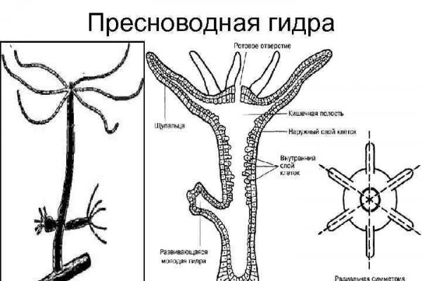 Кракен активная ссылка