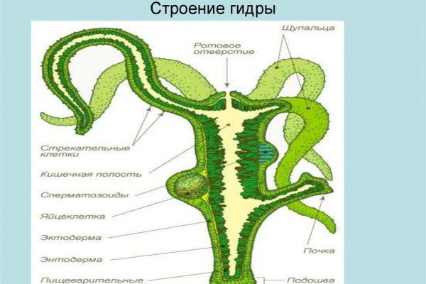 Кракен kr2web in