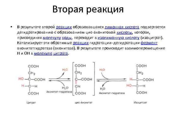 Кракен купить гашиш