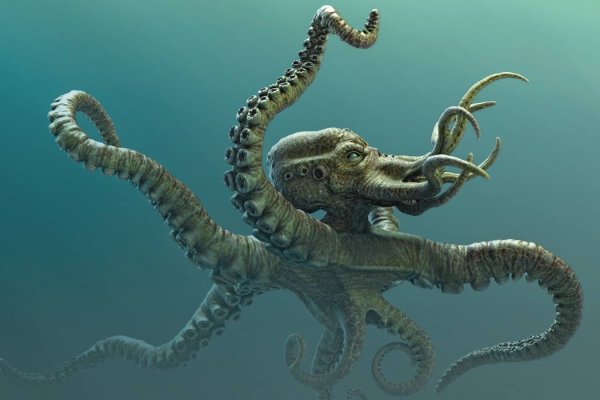 Ссылка для входа на сайт kraken