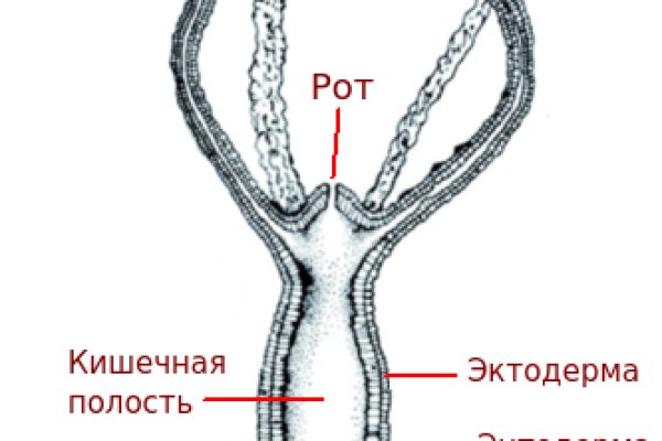 Что с кракеном сайт