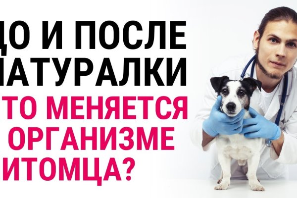Что за кракен маркет