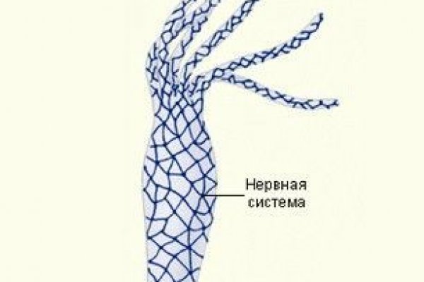 Kraken 24 at